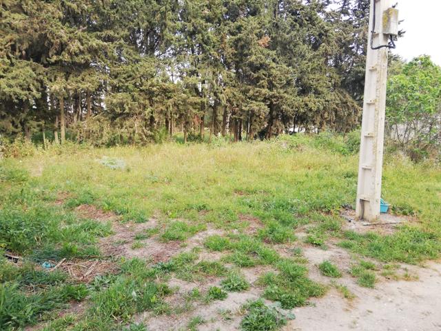Terreno Urbanizable En venta en Pago Del Humo, Chiclana De La Frontera photo 0