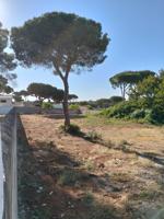 Terreno Urbanizable En venta en Rana Verde, Chiclana De La Frontera photo 0