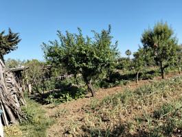 Terreno Urbanizable En venta en Camino Borreguitos, Chiclana De La Frontera photo 0