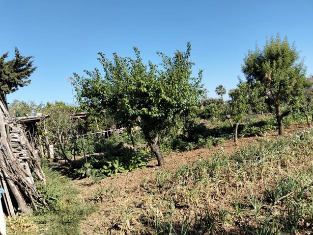 Terreno Urbanizable En venta en Camino Borreguitos, Chiclana De La Frontera photo 0