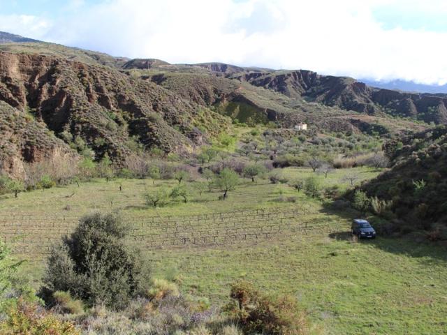 Granja En venta en Cádiar photo 0