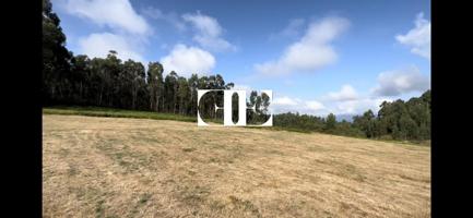 Terreno Rústico de 20.000€m² en Monte Galleiro - Oportunidad Única para Proyecto Agrario o Club Hípico photo 0