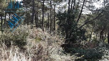 RAYMU Vende photo 0