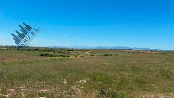 RAYMU Vende photo 0