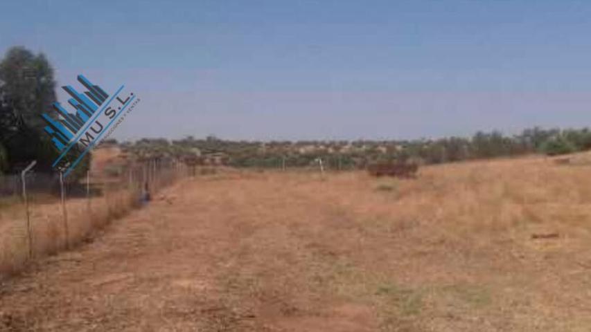 RAYMU Vende photo 0
