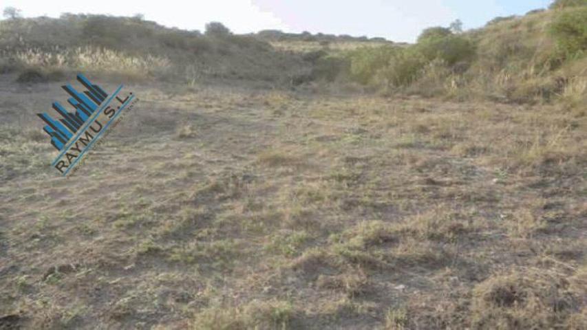 RAYMU Vende photo 0