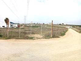 PARCELA EN VILLAVERDE DEL RIO, SEVILLA. photo 0