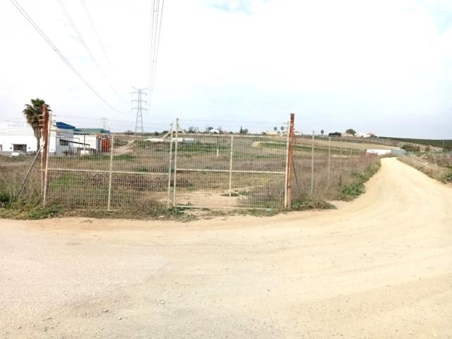 PARCELA EN VILLAVERDE DEL RIO, SEVILLA. photo 0