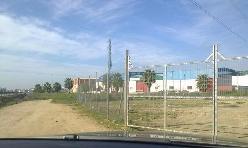 PARCELA EN VILLAVERDE DEL RIO, SEVILLA. photo 0