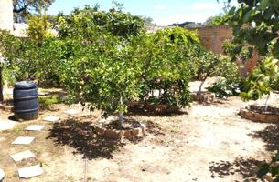 SOLAR DE 300M2 EN LA LOCALIDAD DE GERENA, SEVILLA. photo 0