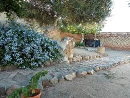 VIVIENDA DE PLANTA BAJA EN LA LOCALIDAD DE BURGUILLOS, SEVILLA. photo 0