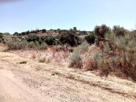 PARCELA EN URBANIZACIÓN SAN BENITO ABAD, CASTIBLANCO DE LOS ARROYOS, SEVILLA. photo 0