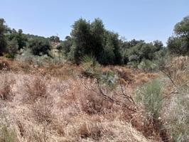 PARCELA EN URBANIZACIÓN SAN BENITO ABAD, CASTIBLANCO DE LOS ARROYOS, SEVILLA. photo 0