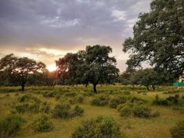 PARCELA EN URBANIZACIÓN SIERRA NORTE, CASTIBLANCO DE LOS ARROYOS, SEVILLA. photo 0