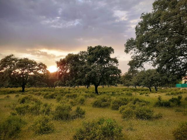 PARCELA EN URBANIZACIÓN SIERRA NORTE, CASTIBLANCO DE LOS ARROYOS, SEVILLA. photo 0