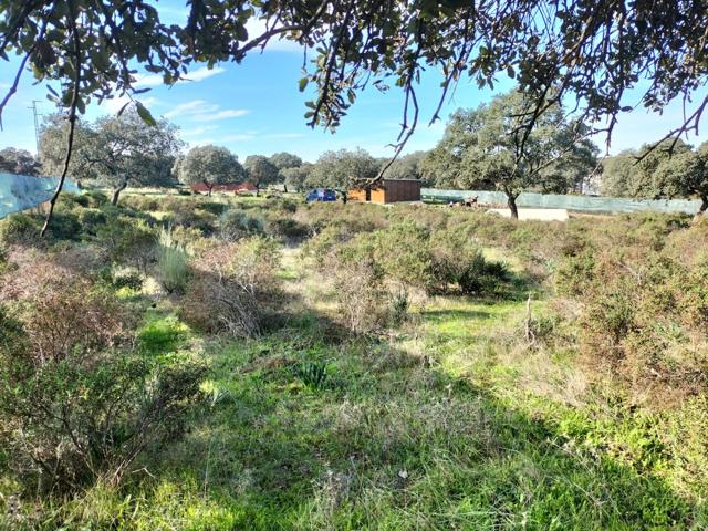 PARCELA EN URBANIZACIÓN SIERRA NORTE, CASTIBLANCO DE LOS ARROYOS, SEVILLA. photo 0