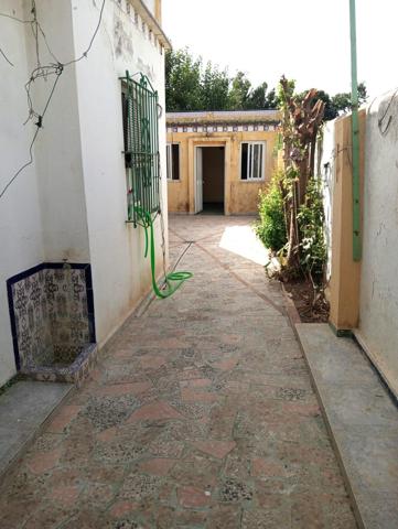 VIVIENDA DE DOS PLANTAS EN LA LOCALIDAD DE VILLAVERDE DEL RÍO, SEVILLA. photo 0