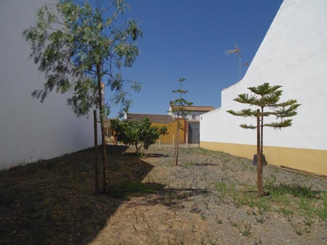 Pacela en la Romeria de San Isidro , GIbraleon photo 0