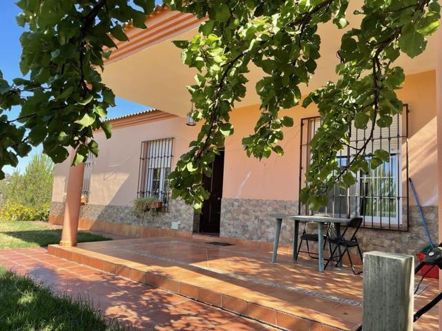 CHALET URBANIZABLE EN LOS LAGOS DEL SERRANO, GUILLENA, SEVILLA. photo 0