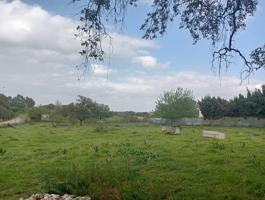 Preciosa parcela urbana en la exclusiva Urb. Sierra Norte, Castilblanco de los Arroyos photo 0