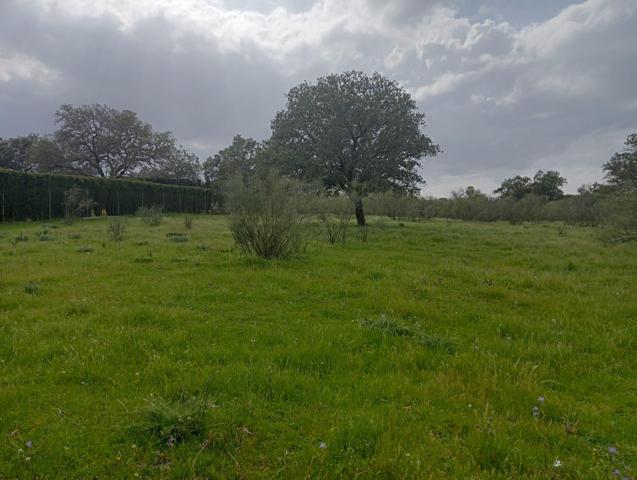 🌳 ¡Magnífica parcela urbana en la Urb. Sierra Norte – Castilblanco de los Arroyos! 🌳 photo 0