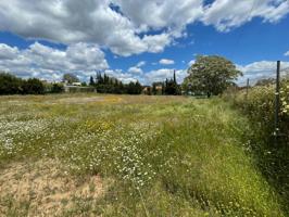 ¡Gran oportunidad! Venta de Parcela Rústica en Castiblanco de los arroyos, Sevilla. photo 0
