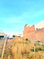 🌿 ¡Tu Futuro Comienza Aquí! Terreno en San Ignacio del Viar photo 0