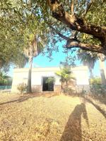 🌿 ¡Tu Paraíso entre Olivos te Espera en Alcolea del Río! 🏡🌞 photo 0