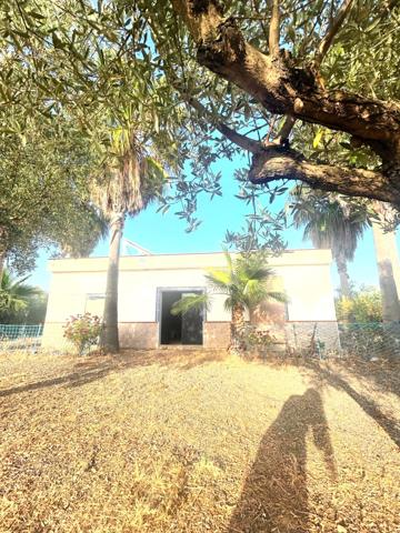 🌿 ¡Tu Paraíso entre Olivos te Espera en Alcolea del Río! 🏡🌞 photo 0