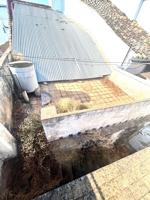 🏡 ¡Oportunidad Única en Alcolea del Río! Vivienda Esquinera a Precio Increíble 💥 photo 0