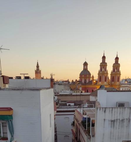 Piso amplio con terraza en el centro de Sevilla Santa Catalina 4 habitaciones y jardín comunitario photo 0