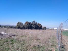 Terreno en venta en Fuente el Saz de Jarama photo 0