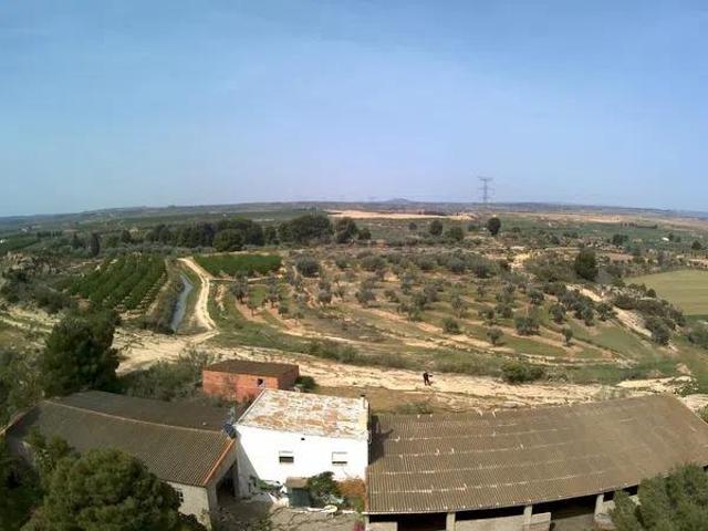 Fantástica finca rústica en camino de Alcañiz a Chiprana photo 0