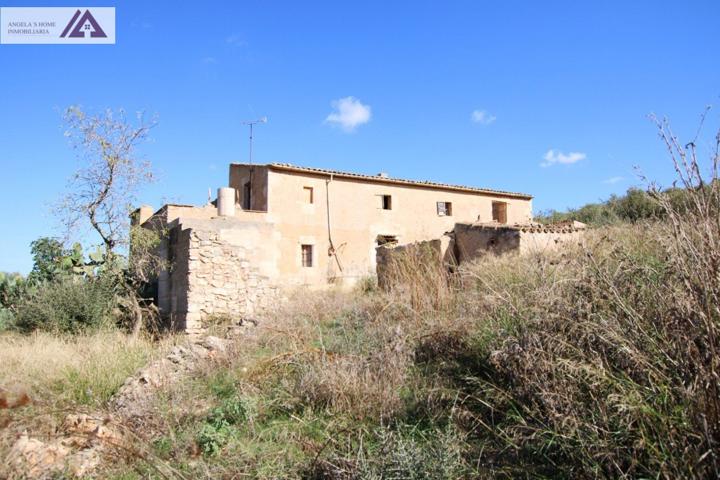 Finca en lugar idílico en Son Macia. photo 0