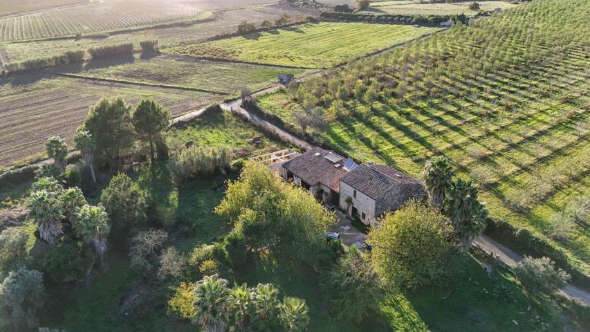 Casa En venta en Petra, Petra photo 0