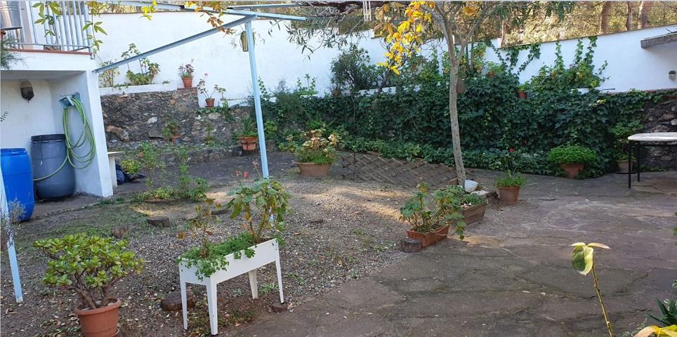 SE VENDE MAGNIFICA FINCA CON CASA EN EL COMI FONDO DE 10 HANEGADAS photo 0