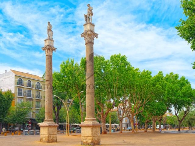  Ático En venta en Sevilla photo 0