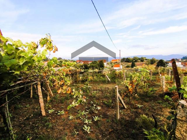SE VENDE FINCA EDIFICABLE EN LA ZONA DE TAGEIGA (MOS) photo 0