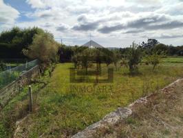 SE VENDE FINCA NO EDIFICABLE EN TAMEIGA (MOS) photo 0