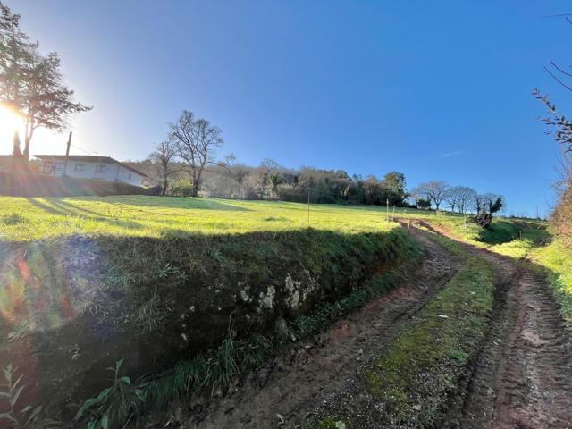 Magnífica parcela para construir una vivienda cercana a la ciudad de Oviedo photo 0