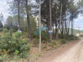 Terreno Urbanizable En venta en Montmell El, El Montmell photo 0