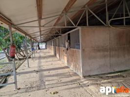 Alquiler de Hípica de 7 Hectáreas con Instalaciones de Primer Nivel photo 0