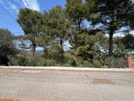 PARCELA EN CAN CLARAMUNT photo 0