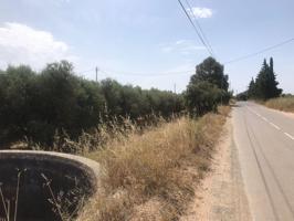 EN VENTA FINCA RUSTICA EN VINYOLS I ELS ARCS CON 80 OLIVOS. photo 0