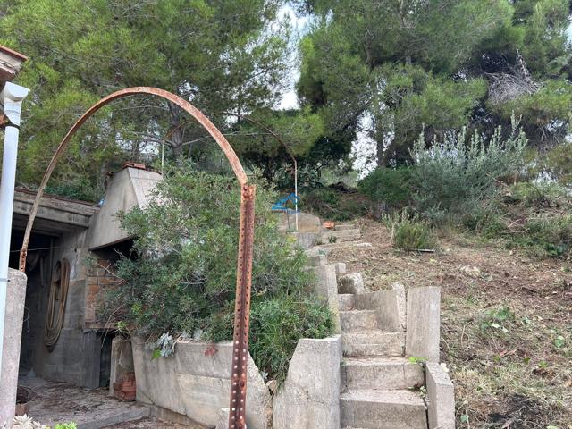 PARCELA EN URBANIZACIÓN photo 0