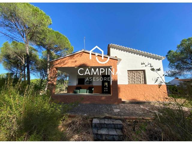 Finca rustica en venta en Navahermosa, Beas (Huelva) photo 0