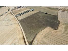 FINCA RÚSTICA EN TRIGUEROS photo 0