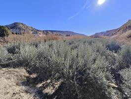 Terreno en Los Baños, ideal para cultivo o inversión photo 0