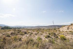 Terreno urbano de 1.800 m2 ubicado en la pedanía muleña de el Niño de Mula photo 0