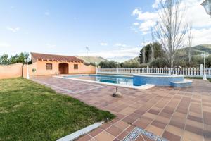 Chalet con finca de olivos en Bullas photo 0